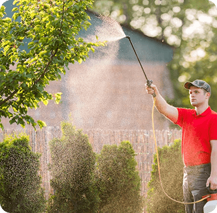 Pest Control & Home Services